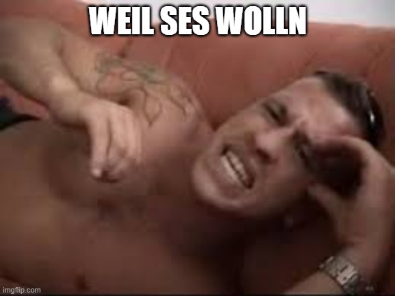 Assi Toni | WEIL SES WOLLN | image tagged in assi toni | made w/ Imgflip meme maker