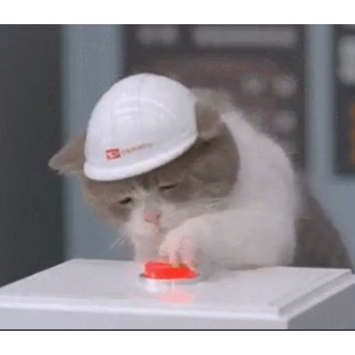 Cat Pushing Button Blank Meme Template