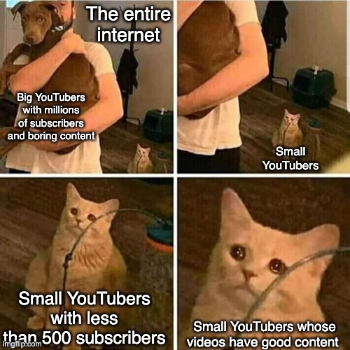 Sad Cat Holding Dog | The entire internet; Big YouTubers with millions of subscribers and boring content; Small YouTubers; Small YouTubers with less than 500 subscribers; Small YouTubers whose videos have good content | image tagged in sad cat holding dog | made w/ Imgflip meme maker