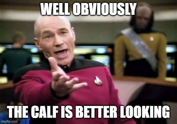 Picard Wtf Meme | WELL OBVIOUSLY THE CALF IS BETTER LOOKING | image tagged in memes,picard wtf | made w/ Imgflip meme maker