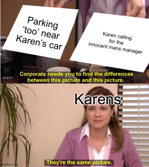 They're The Same Picture Meme | Parking ‘too’ near Karen’s car; Karen calling for the innocent mans manager; Karens | image tagged in memes,they're the same picture | made w/ Imgflip meme maker