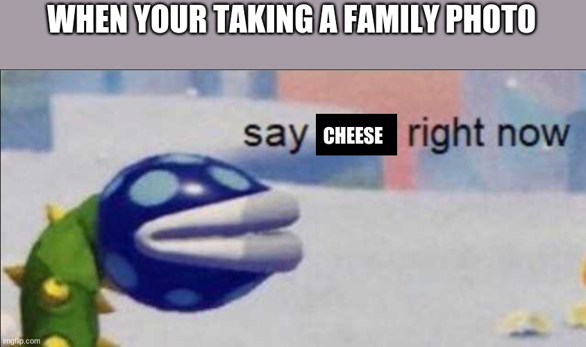 Say sike right now | WHEN YOUR TAKING A FAMILY PHOTO; CHEESE | image tagged in say sike right now | made w/ Imgflip meme maker