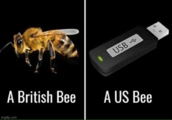 US bee vs British bee | image tagged in us bee vs british bee | made w/ Imgflip meme maker