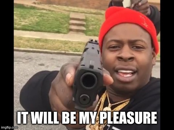 gun pointing meme | IT WILL BE MY PLEASURE | image tagged in gun pointing meme | made w/ Imgflip meme maker