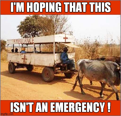 A Somewhat Relaxed Attitude ? | I'M HOPING THAT THIS; ISN'T AN EMERGENCY ! | image tagged in fun,ambulance,emergency | made w/ Imgflip meme maker