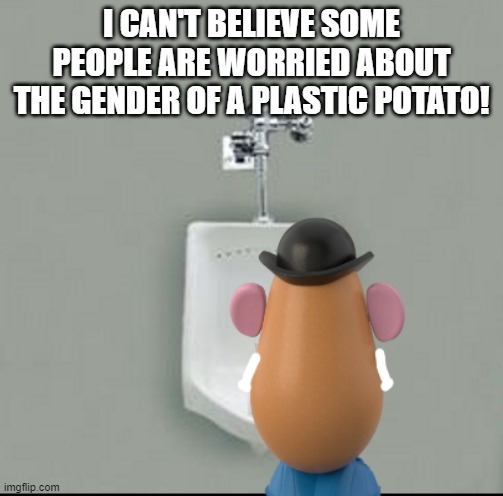 gender specific tater toy | I CAN'T BELIEVE SOME PEOPLE ARE WORRIED ABOUT THE GENDER OF A PLASTIC POTATO! | image tagged in mr potatoe head,gender | made w/ Imgflip meme maker