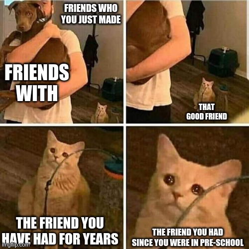 Sad Cat Holding Dog | FRIENDS WHO YOU JUST MADE; FRIENDS WITH; THAT GOOD FRIEND; THE FRIEND YOU HAVE HAD FOR YEARS; THE FRIEND YOU HAD SINCE YOU WERE IN PRE-SCHOOL | image tagged in sad cat holding dog | made w/ Imgflip meme maker