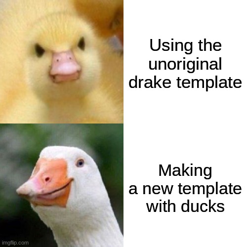 also, should i make this a template? | Using the unoriginal drake template; Making a new template with ducks | image tagged in memes,drake hotline bling,duck,FreeKarma4U | made w/ Imgflip meme maker
