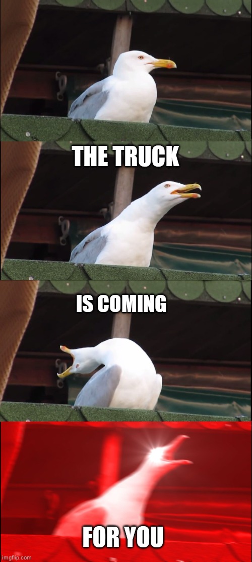 Inhaling Seagull Meme | THE TRUCK IS COMING FOR YOU | image tagged in memes,inhaling seagull | made w/ Imgflip meme maker