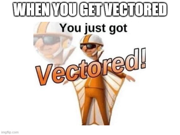 When you get vectored | WHEN YOU GET VECTORED | image tagged in anti meme,vector | made w/ Imgflip meme maker