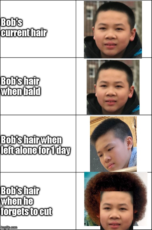 Eight panel rage comic maker | Bob's current hair; Bob's hair when bald; Bob's hair when left alone for 1 day; Bob's hair when he forgets to cut | image tagged in eight panel rage comic maker | made w/ Imgflip meme maker