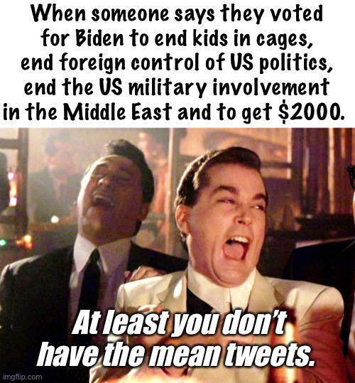 At least Twitter is a safer place now | When someone says they voted for Biden to end kids in cages, end foreign control of US politics, end the US military involvement in the Middle East and to get $2000. At least you don’t have the mean tweets. | image tagged in memes,good fellas hilarious,catfish,suckers,derp,joe biden | made w/ Imgflip meme maker