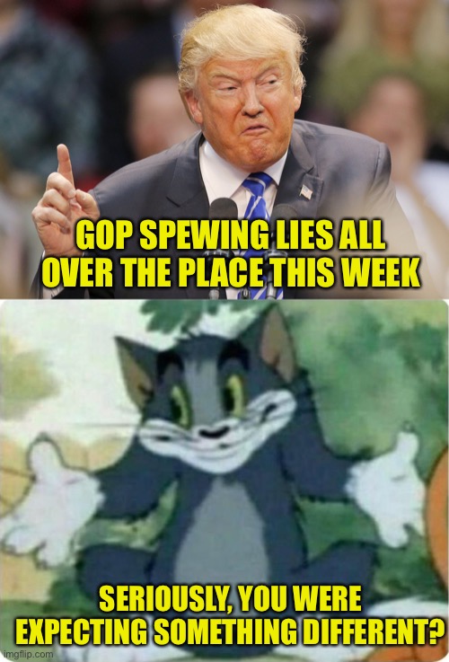 I can’t keep up with them all they are coming so fast | GOP SPEWING LIES ALL OVER THE PLACE THIS WEEK; SERIOUSLY, YOU WERE EXPECTING SOMETHING DIFFERENT? | image tagged in trump supporter can no longer defend trump liberal spewing hate,tom shrugging | made w/ Imgflip meme maker