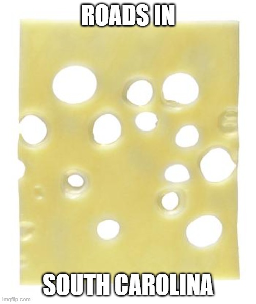 Swiss cheese | ROADS IN; SOUTH CAROLINA | image tagged in swiss cheese | made w/ Imgflip meme maker