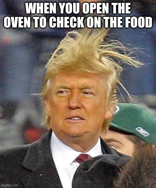 Windy Trump | WHEN YOU OPEN THE OVEN TO CHECK ON THE FOOD | image tagged in windy trump | made w/ Imgflip meme maker