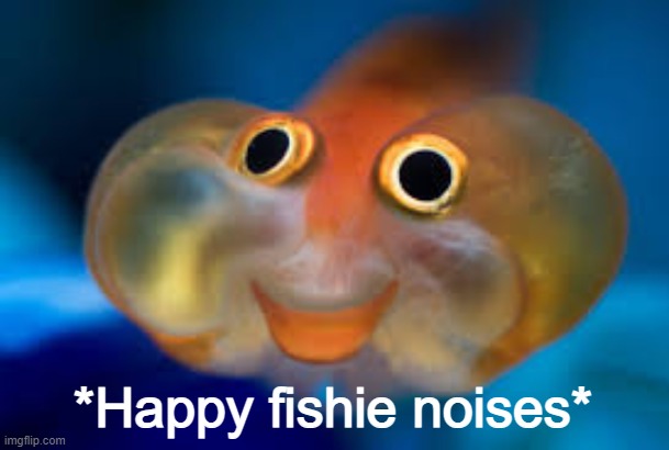 Happy fish | *Happy fishie noises* | image tagged in happy fish | made w/ Imgflip meme maker
