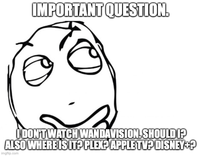 I dunno should I? | IMPORTANT QUESTION. I DON'T WATCH WANDAVISION. SHOULD I? ALSO WHERE IS IT? PLEX? APPLE TV? DISNEY+? | image tagged in hmmm,should i,watch,wandavision | made w/ Imgflip meme maker