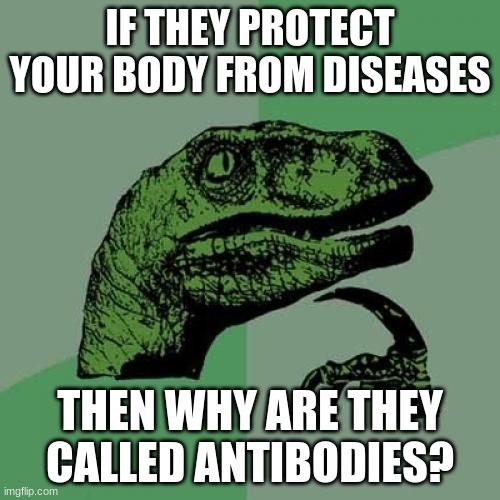 Why "antibodies?" | IF THEY PROTECT YOUR BODY FROM DISEASES; THEN WHY ARE THEY CALLED ANTIBODIES? | image tagged in memes,philosoraptor | made w/ Imgflip meme maker