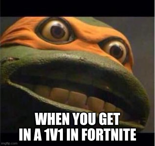 teen age mutant ninja turtle | WHEN YOU GET IN A 1V1 IN FORTNITE | image tagged in teen age mutant ninja turtle | made w/ Imgflip meme maker