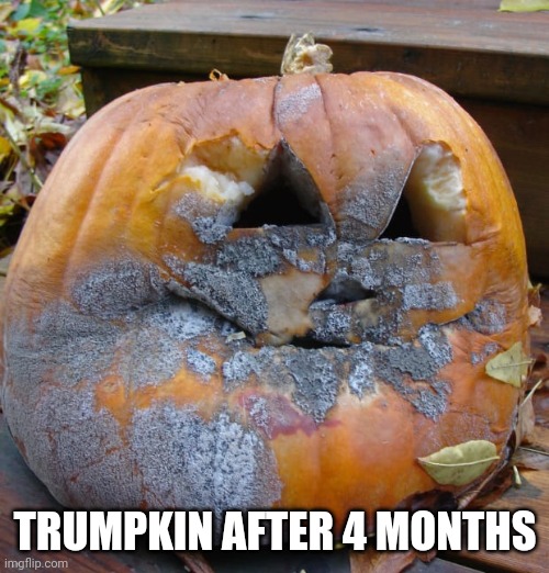 TRUMPKIN AFTER 4 MONTHS | made w/ Imgflip meme maker