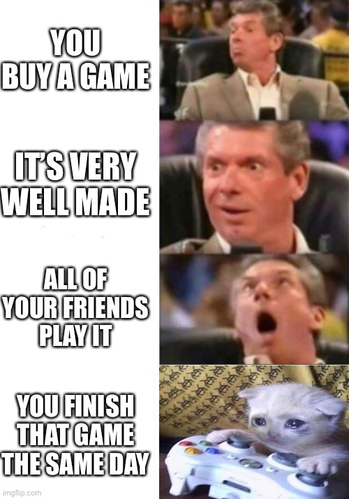 A Very Well Made Game | YOU BUY A GAME; IT’S VERY WELL MADE; ALL OF YOUR FRIENDS PLAY IT; YOU FINISH THAT GAME THE SAME DAY | image tagged in mr mcmahon reaction,sad cat | made w/ Imgflip meme maker