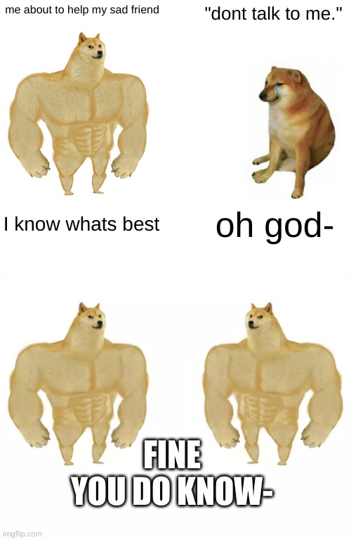 ye |  me about to help my sad friend; "dont talk to me."; I know whats best; oh god-; FINE YOU DO KNOW- | image tagged in memes,buff doge vs cheems,buff doge vs buff doge | made w/ Imgflip meme maker