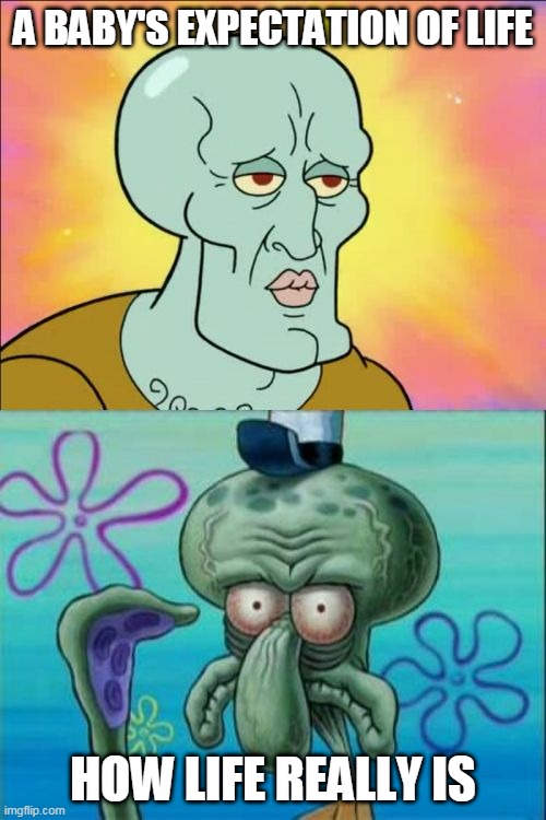 Squidward Meme | A BABY'S EXPECTATION OF LIFE; HOW LIFE REALLY IS | image tagged in memes,squidward | made w/ Imgflip meme maker