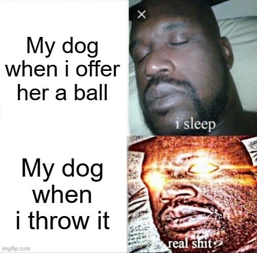 Sleeping Shaq | My dog when i offer her a ball; My dog when i throw it | image tagged in memes,sleeping shaq | made w/ Imgflip meme maker