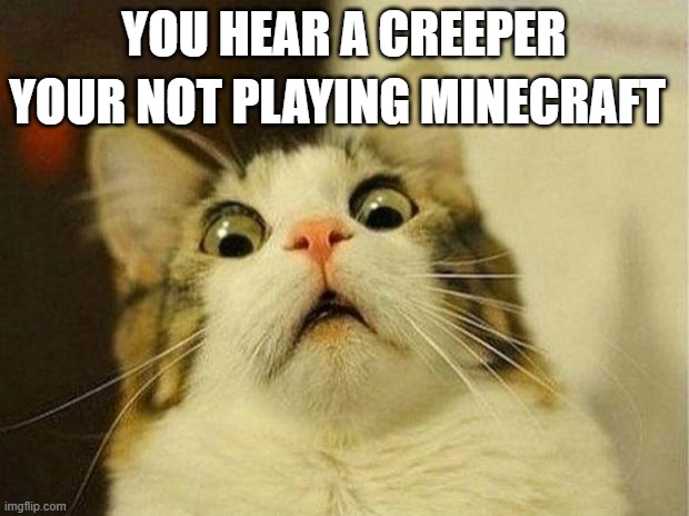 Scared Cat | YOUR NOT PLAYING MINECRAFT; YOU HEAR A CREEPER | image tagged in memes,scared cat | made w/ Imgflip meme maker