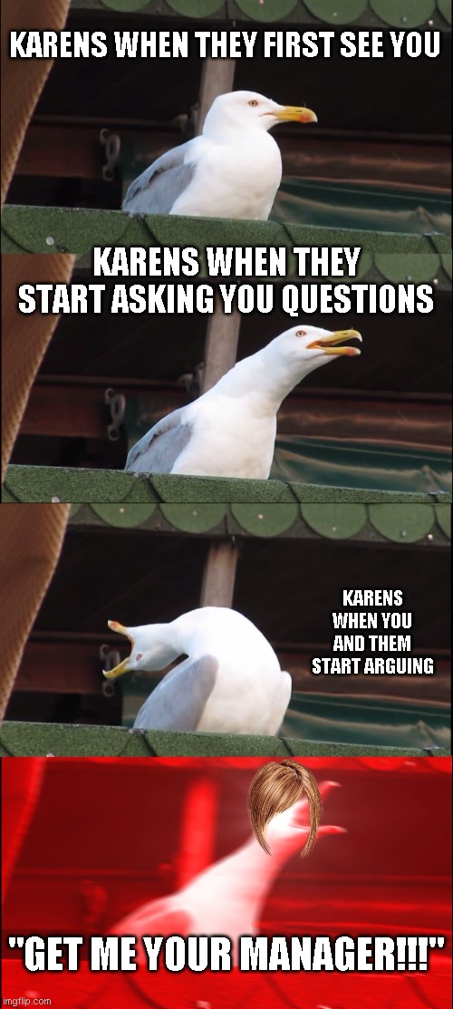 Entitled Karens | KARENS WHEN THEY FIRST SEE YOU; KARENS WHEN THEY START ASKING YOU QUESTIONS; KARENS WHEN YOU AND THEM START ARGUING; "GET ME YOUR MANAGER!!!" | image tagged in memes,inhaling seagull | made w/ Imgflip meme maker