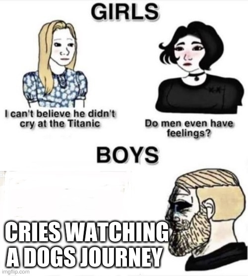 Do boys even have feelings | CRIES WATCHING A DOGS JOURNEY | image tagged in do boys even have feelings | made w/ Imgflip meme maker