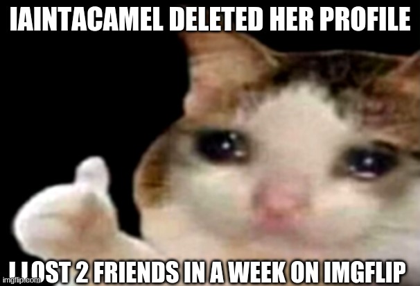 Iaintacamel does not exist anymore | IAINTACAMEL DELETED HER PROFILE; I LOST 2 FRIENDS IN A WEEK ON IMGFLIP | image tagged in goodbye,iaintacamel | made w/ Imgflip meme maker