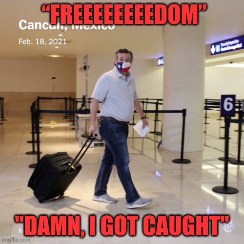 Ted Cruz Cancun |  “FREEEEEEEEDOM”; "DAMN, I GOT CAUGHT" | image tagged in ted cruz cancun | made w/ Imgflip meme maker