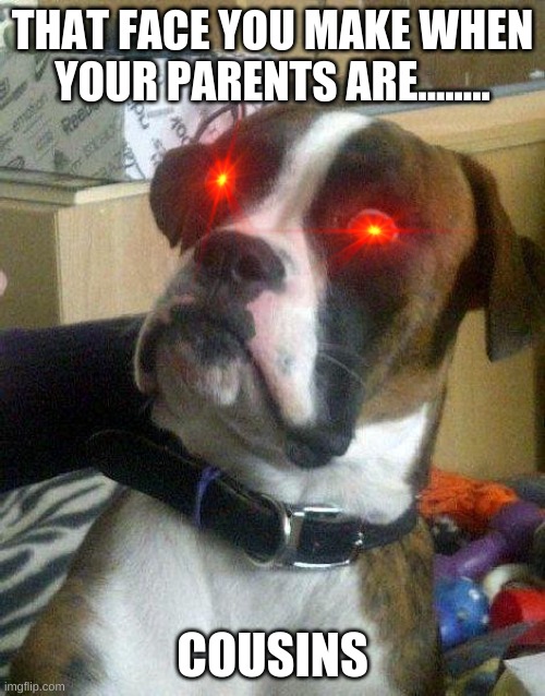 Dogs | THAT FACE YOU MAKE WHEN YOUR PARENTS ARE........ COUSINS | image tagged in surprised dog | made w/ Imgflip meme maker