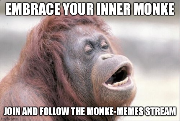 Monkey OOH | EMBRACE YOUR INNER MONKE; JOIN AND FOLLOW THE MONKE-MEMES STREAM | image tagged in memes,monkey ooh | made w/ Imgflip meme maker