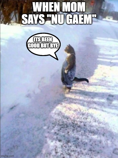 Cat in snow | WHEN MOM SAYS "NU GAEM"; ITS BEEN GOOD BUT BYE | image tagged in cat in snow | made w/ Imgflip meme maker