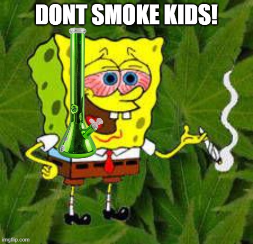 Weed | DONT SMOKE KIDS! | image tagged in weed | made w/ Imgflip meme maker