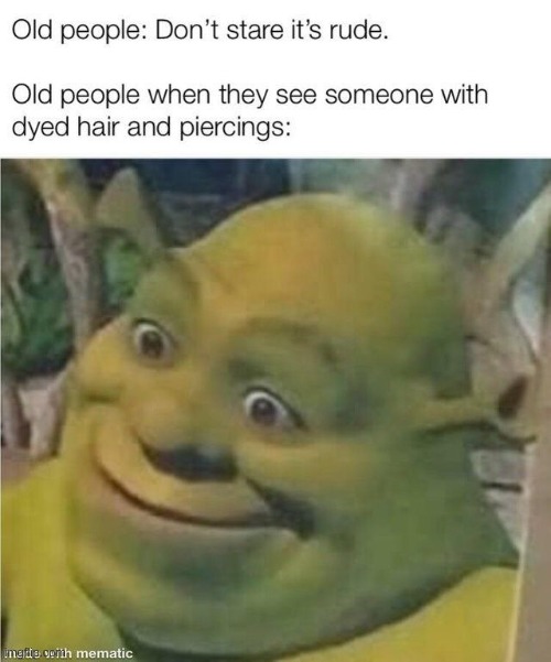 THEM BOOMERS BE LIKE: | image tagged in shrek is love,shrek is life | made w/ Imgflip meme maker