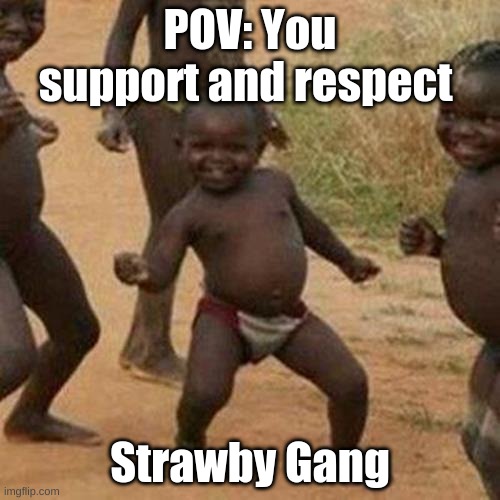 Third World Success Kid | POV: You support and respect; Strawby Gang | image tagged in memes,third world success kid | made w/ Imgflip meme maker
