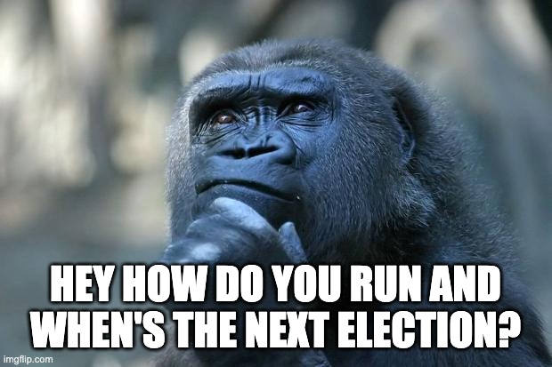 Deep Thoughts | HEY HOW DO YOU RUN AND WHEN'S THE NEXT ELECTION? | image tagged in deep thoughts | made w/ Imgflip meme maker