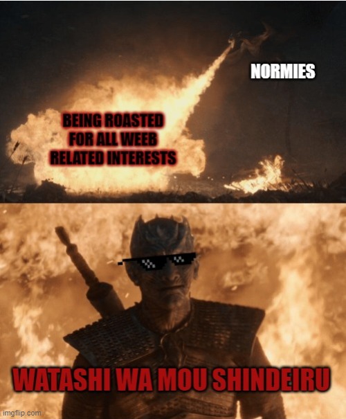 your attack is ineffective | image tagged in game of thrones,weeb | made w/ Imgflip meme maker