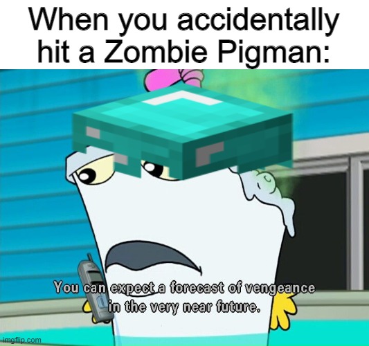 OH, SH- | When you accidentally hit a Zombie Pigman: | image tagged in you can expect a forecast of vengeance in the very near future | made w/ Imgflip meme maker