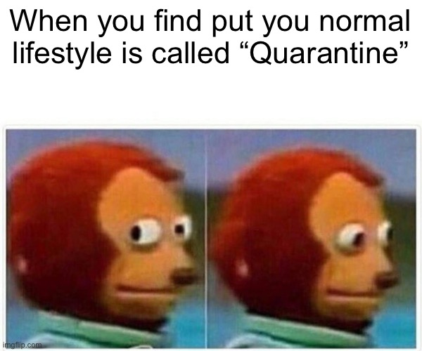 Monkey Puppet | When you find put you normal lifestyle is called “Quarantine” | image tagged in memes,monkey puppet,funny,fun | made w/ Imgflip meme maker
