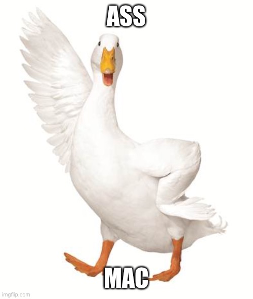 aflac duck | ASS; MAC | image tagged in aflac duck | made w/ Imgflip meme maker