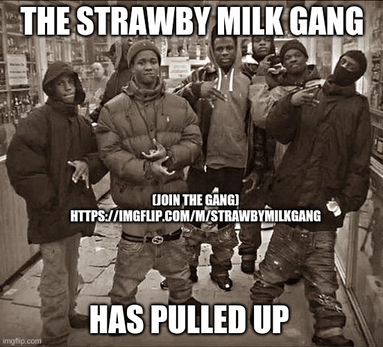 All My Homies Hate | THE STRAWBY MILK GANG; (JOIN THE GANG) HTTPS://IMGFLIP.COM/M/STRAWBYMILKGANG; HAS PULLED UP | image tagged in all my homies hate | made w/ Imgflip meme maker