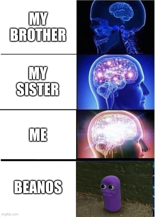 Expanding Brain Meme | MY BROTHER; MY SISTER; ME; BEANOS | image tagged in memes,expanding brain | made w/ Imgflip meme maker