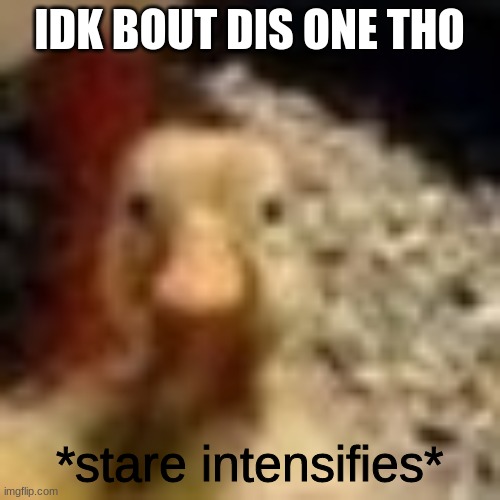 IDK BOUT DIS ONE THO *stare intensifies* | made w/ Imgflip meme maker