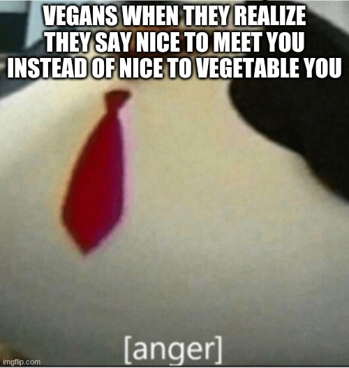 [anger] | VEGANS WHEN THEY REALIZE THEY SAY NICE TO MEET YOU INSTEAD OF NICE TO VEGETABLE YOU | image tagged in anger | made w/ Imgflip meme maker