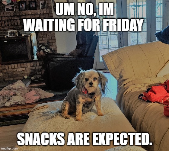 Waiting | UM NO, IM WAITING FOR FRIDAY; SNACKS ARE EXPECTED. | image tagged in friday | made w/ Imgflip meme maker