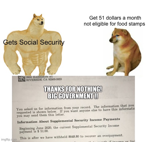 SSA 51 | Get 51 dollars a month not eligible for food stamps; Gets Social Security | image tagged in memes,buff doge vs cheems,social security,retirement,government corruption | made w/ Imgflip meme maker